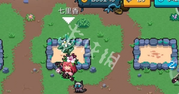 网4