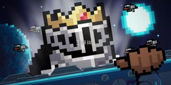 网1